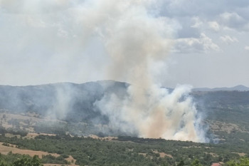 Požar izbio u bilećkom selu Korita, vatra odbijena od kuća
