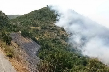 Vatrogasci Trebinja i Ivanice brane širenje požara iz Dubrovnika