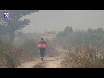 Trebinje: Izbio požar na području Gomiljana i Pridvoraca (VIDEO) 