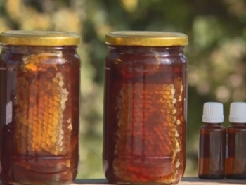 Херцеговачки пчелари очекују солидан принос меда