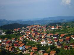 Срндаћ прошетао градом