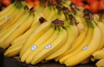 Stručnjaci savjetuju da bananu treba oprati prije guljenja