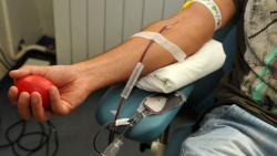 Električari darovali 42 doze krvi