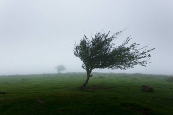 Upozorenje za olujni vjetar: Udari i do 100 km/h