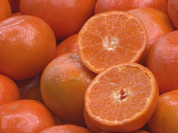Opasan pesticid nađen u mandarinama iz Hrvatske koje su završile na tržištu u BiH