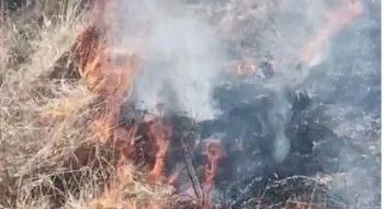 Požar u rejonu Čemerna