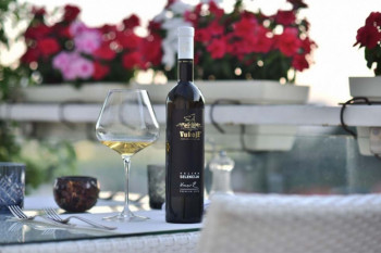 Decanter uvrstio Vukoje Selekciju među vina godine