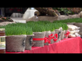 Objektivom kroz Trebinje, 6.1.2024. (video)