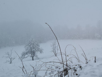Zima u Crnoj Gori; Najhladnije na Žabljaku