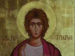 Сутра Свети Трифун