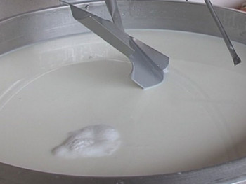 Bileća: Stočarstvo i prerada mlijeka siguran izvor zarade (VIDEO)