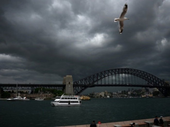Žena povrijeđena u napadu ajkule u luci u Sidneju