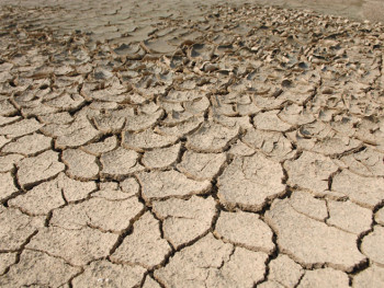 Zimska suša na jugu Evrope