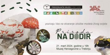 Muzej Hercegovine: Izložba modela živog svijeta 'PRIRODA NA DODIR'
