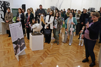 Izložba „Priroda na dodir“: Replike životinja, biljaka i gljiva u Muzeju Hercegovine