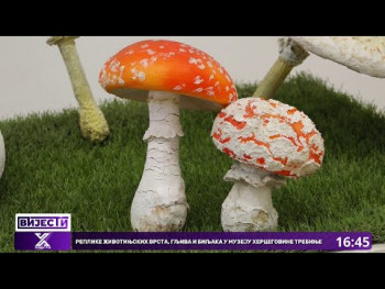 Replike životinjskih vrsta, gljiva i biljaka u Muzeju Hercegovine Trebinje (VIDEO)