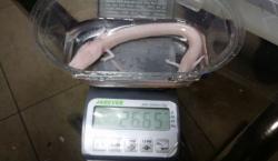 U Zasad polju pronađena čovječja ribica