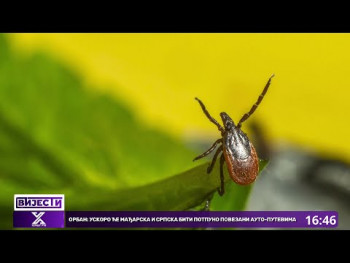 Kako se zaštititi od gmizavaca i insekata tokom boravka u prirodi? (Video)