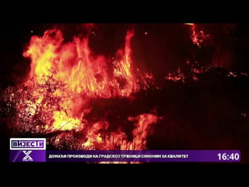Ugašen šumski požar u selu Prašišta (VIDEO)