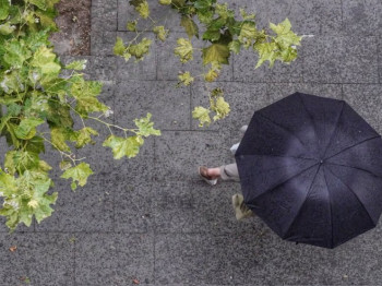 Nevrijeme stiglo u Hrvatsku; U Zagrebu padala stabla