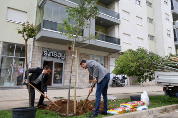 Čišćenjem grada i sadnjom stabala košćele obilježen Međunarodni dan planete Zemlje