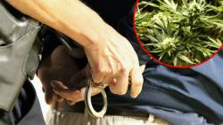 Центар „пуном паром“ против уличне продаје!