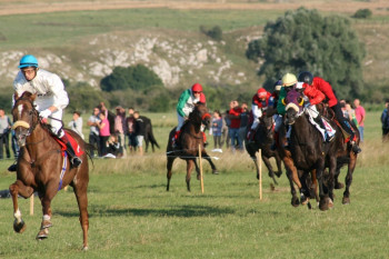 ПРОГРАМ НЕВЕСИЊСКЕ ОЛИМПИЈАДЕ 2024. 