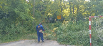 Данас уређење стадиона у Аранђелову и уређење ниског растинја у Горици и Придворцима