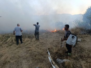 ЛОКАЛИЗОВАН ПОЖАР НА ЗИЈЕМЉИМА