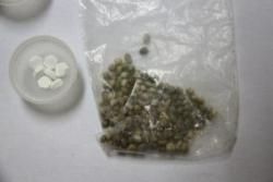 Policijska uprava: Pronađeno više od 20 sjemenki indijske konoplje