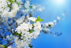 Proljećni umor se ne liječi ljenčarenjem