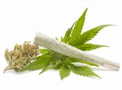 ПУ: Код малољетника пронађено 7 гр. марихуане