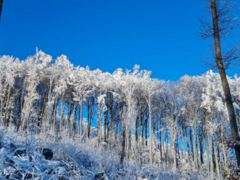 U petak oblačno s kišom i snijegom
