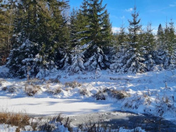 Promjenljivo oblačno uz sunčane periode