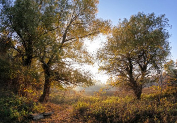 Pretežno oblačno uz sunčane periode