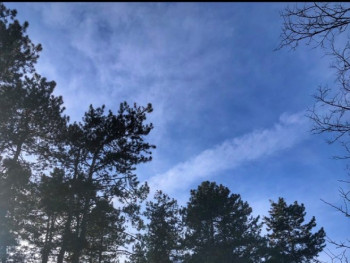 Данас облачно са слабим падавинама