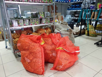 Пољопривредници ужурбано купују сјеменски кромпир и лук: Цијене више од прошлогодишњих