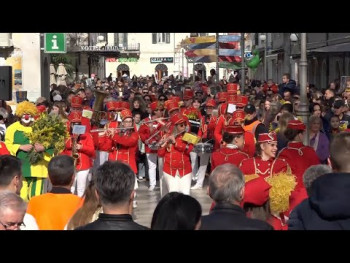 Karavan mimoze stigao u Trebinje: Miris cvjetne tradicije osvaja Hercegovinu VIDEO