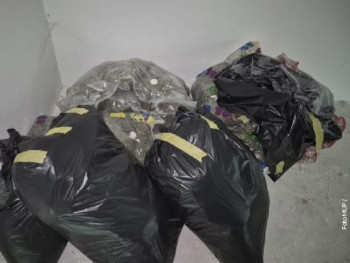 У Србији једна од највећих запљена дроге у посљедњим мјесецима