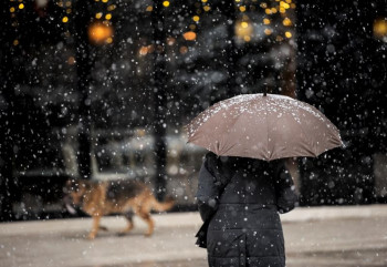 Сусњежица и снијег