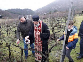 Porodica Vukoje počela sa rezidbom u Carskim vinogradima - Sveti Trifun najavio dobru godinu