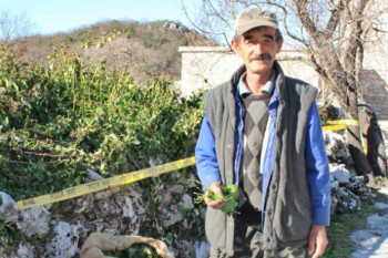 Kako je Trebinjac Ilija došao na ideju? Bere bršljan, sve se otkupi, a dnevno zaradi i do 350 KM