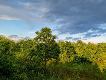 Tokom dana razvedravanje i toplije