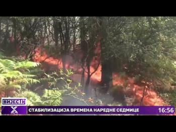 Ruđanski vatrogasci, prethodnih dana imali pune ruke posla zbog požara (Video)