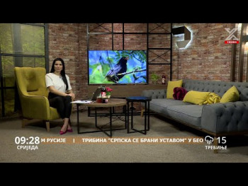 Dobro jutro Hercegovino (video)