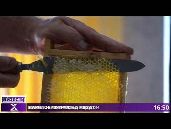 Zlatni proizvod prirode: Kakva je potražnja meda na trebinjskoj pijaci? (Video)