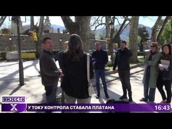 Trebinjski platani pod stručnim nadzorom: Detaljna analiza unutrašnjosti i spoljašnjosti stabala (Video)