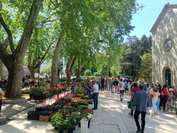  Trebinje miriše na maj: Cvijeće pod platanima očaralo prolaznike