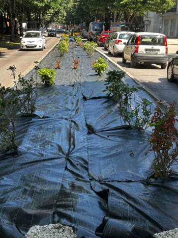 Ulica Trebinjskih brigada u novom ruhu