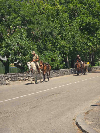 FOTO/ Neobični putnici na konjima ponovo prolaze kroz Hercegovinu – jutros viđeni u Trebinju